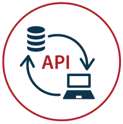 Flexible API Access
